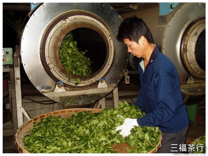 <步驟6>殺菁 : 茶菁發酵完成散發出果香時、以高溫破壞活性停止發酵、使茶葉含水量減少方便揉捻。